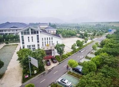 宜興西渚鎮(zhèn)網(wǎng)站建設揭秘與高塍鎮(zhèn)官網(wǎng)展望（2025年01月焦點）